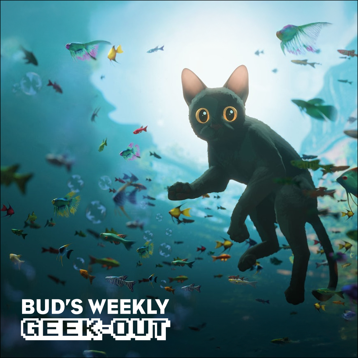 cover of episode Flow and Blender