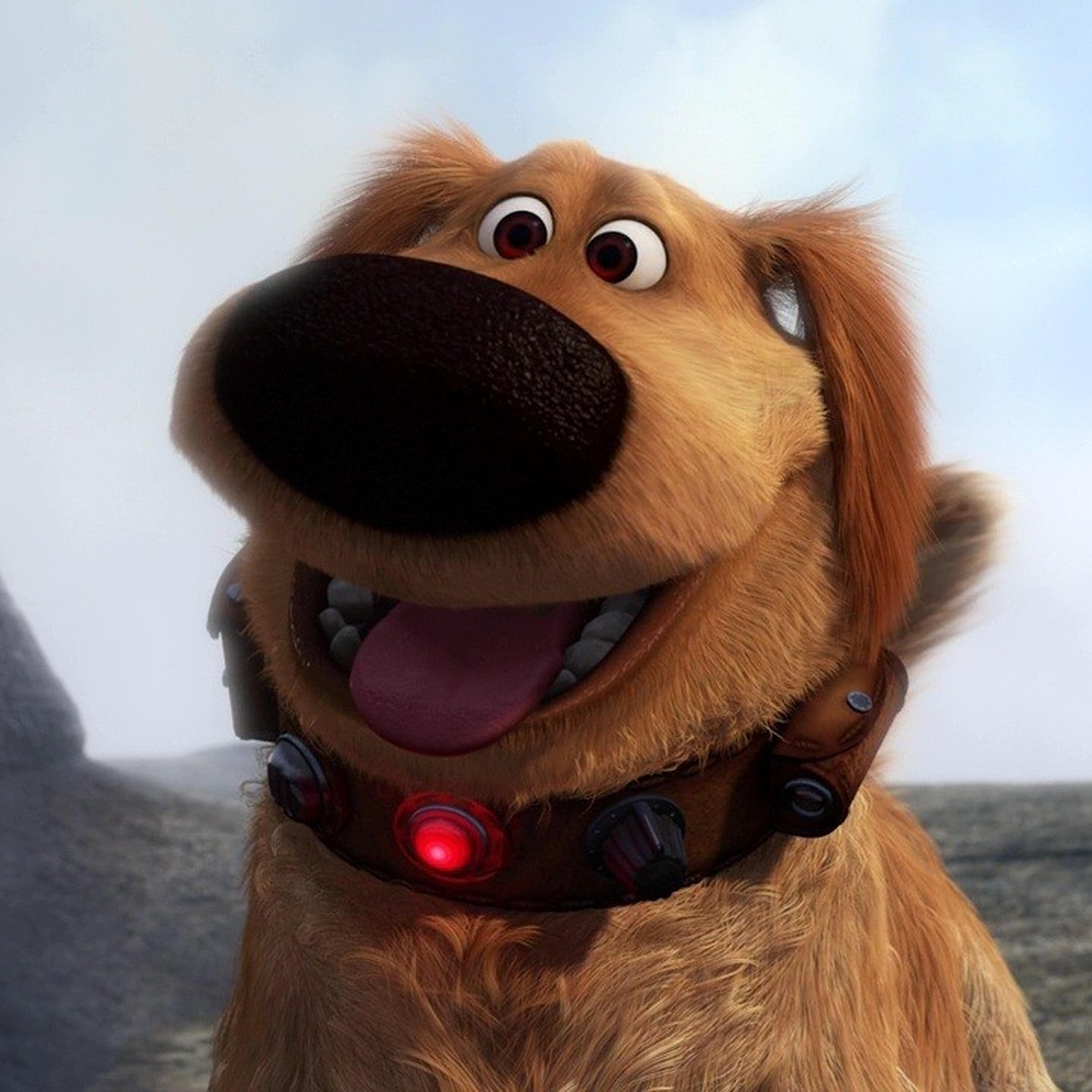 The Voices Our Pets Have In Our Heads But Out Loud (Oct 16 2024)