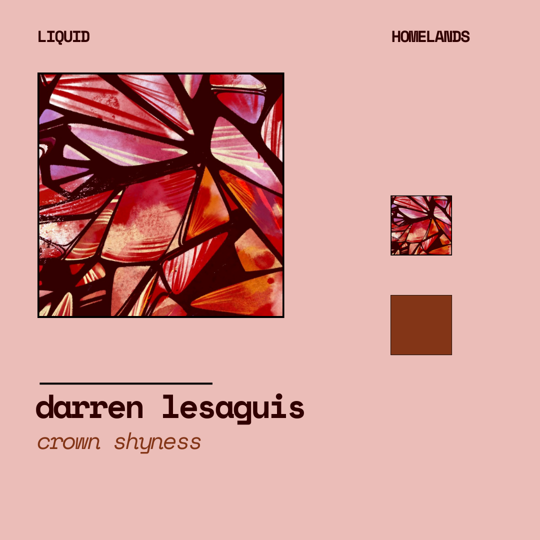 𝑳𝒊𝒒𝒖𝒊𝒅 𝑯𝒐𝒎𝒆𝒍𝒂𝒏𝒅𝒔 - Crown Shyness by Darren Lesaguis