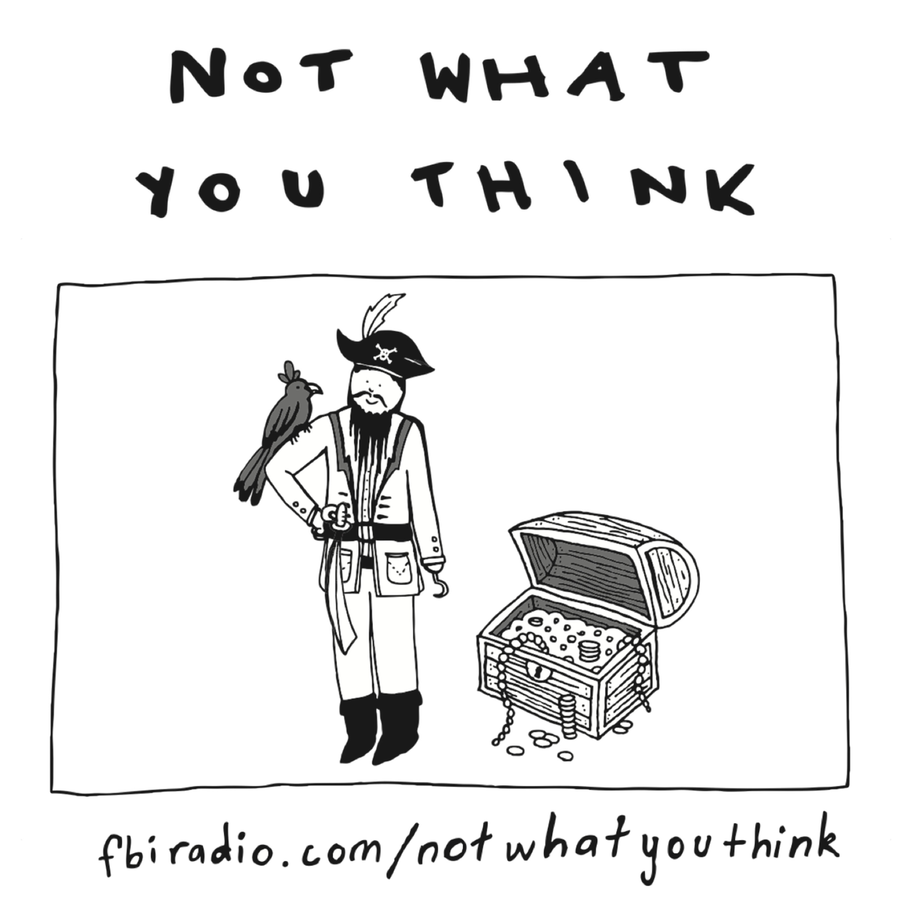 How Pirates Get Organised (Kyra Maya Phillips)