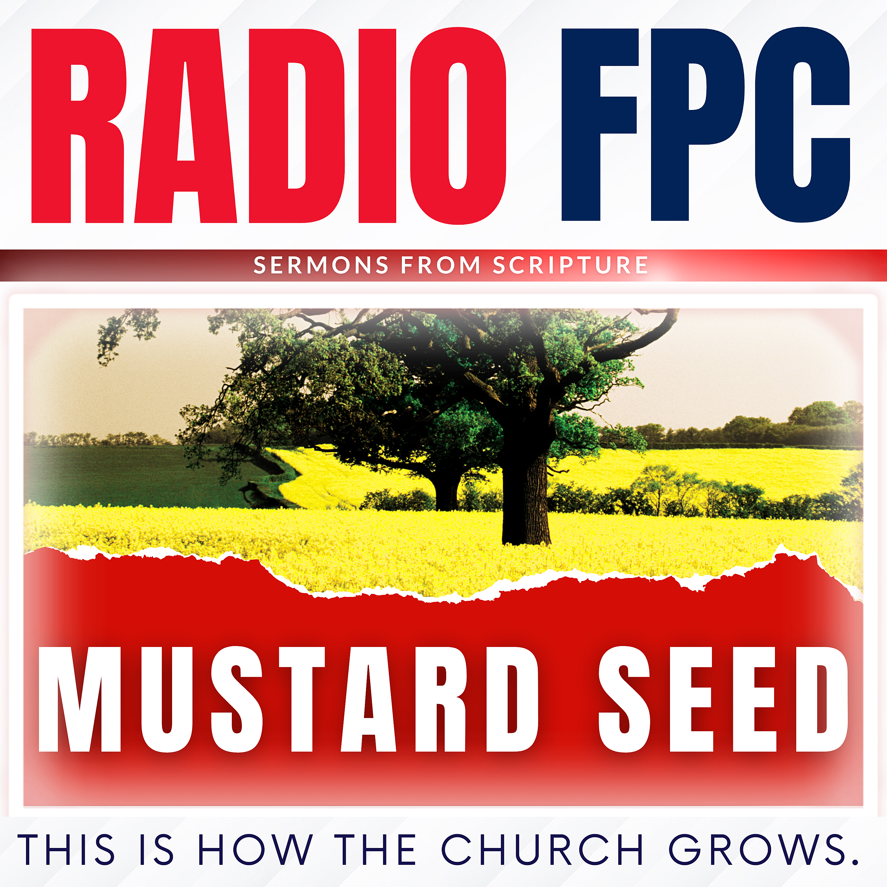 Mustard Seed (This Is How The Church Grows)