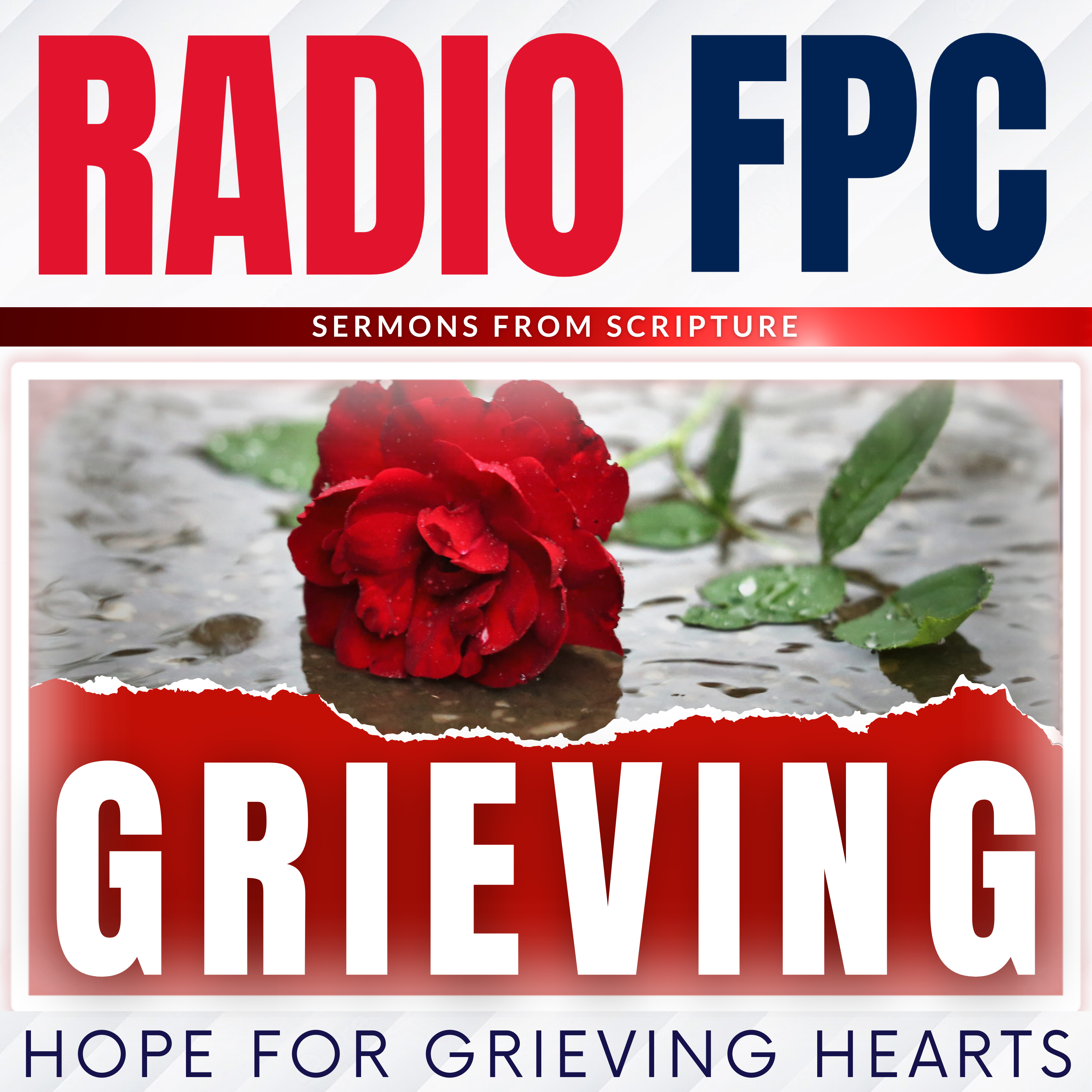 Hope For Grieving Hearts (Life After Death)