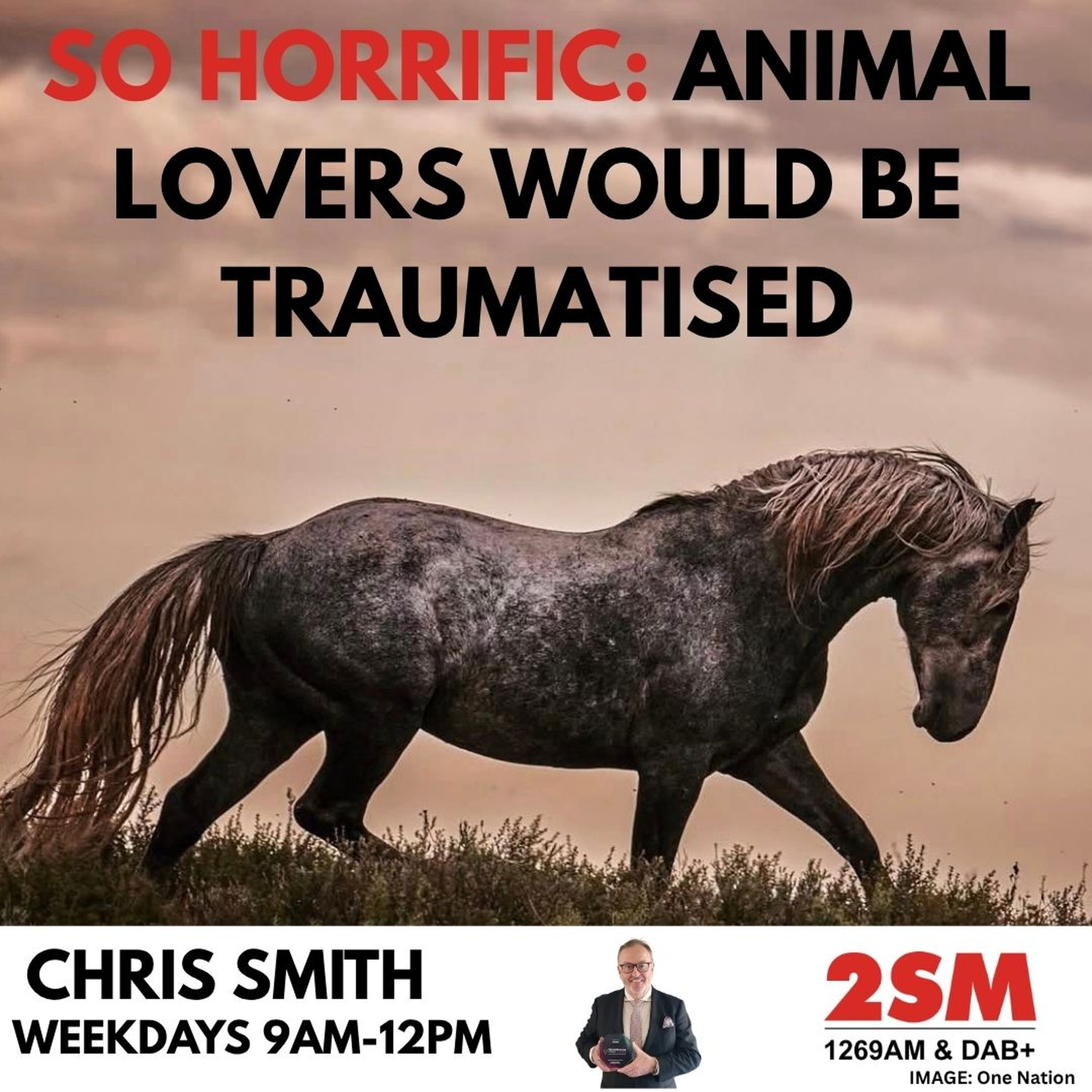 PETER COCHRANE AND KIKI SJOBERG JOINS CHRIS SMITH episode artwork
