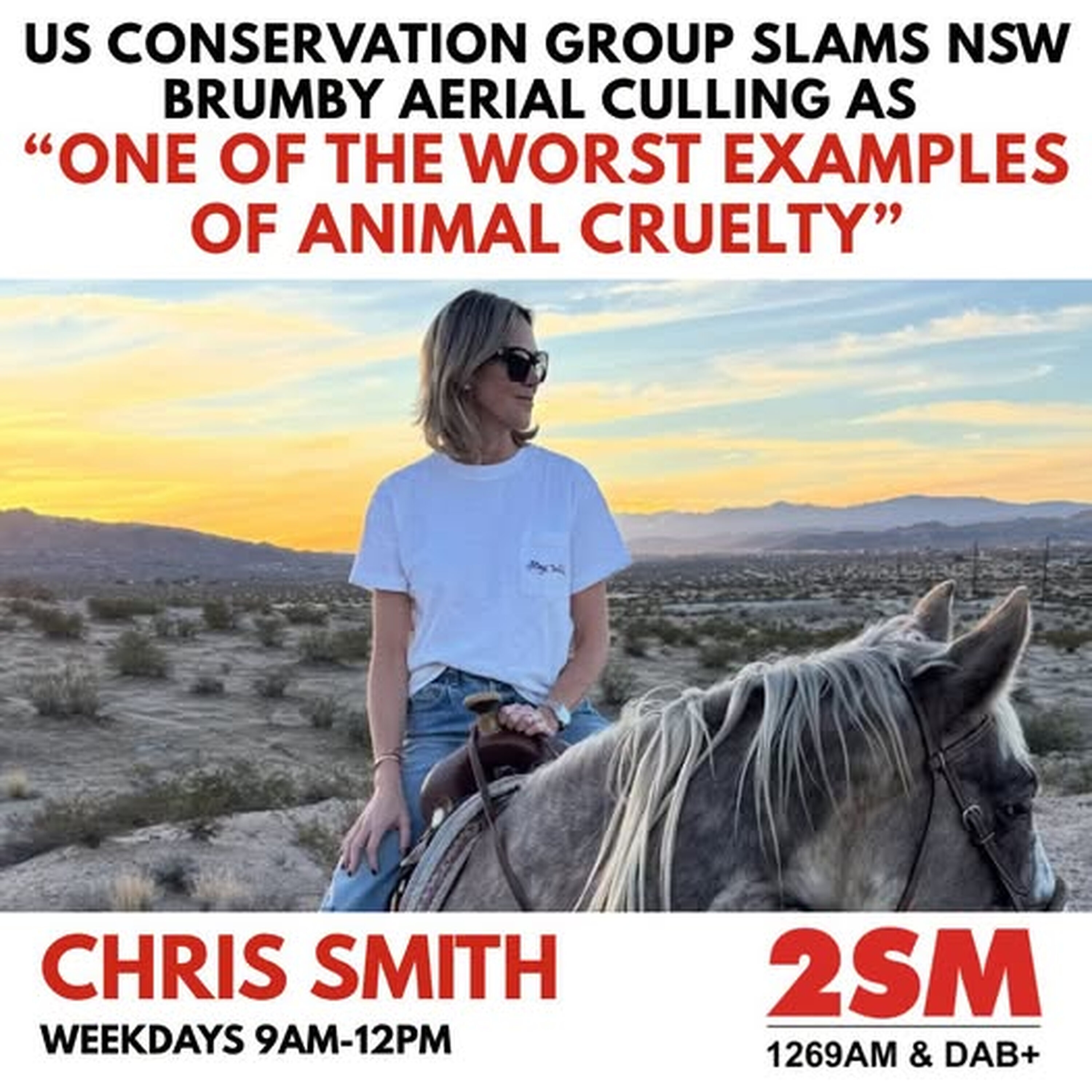 American Wild Horse Conservation executive director Patricia Miller joins Chris Smith episode artwork