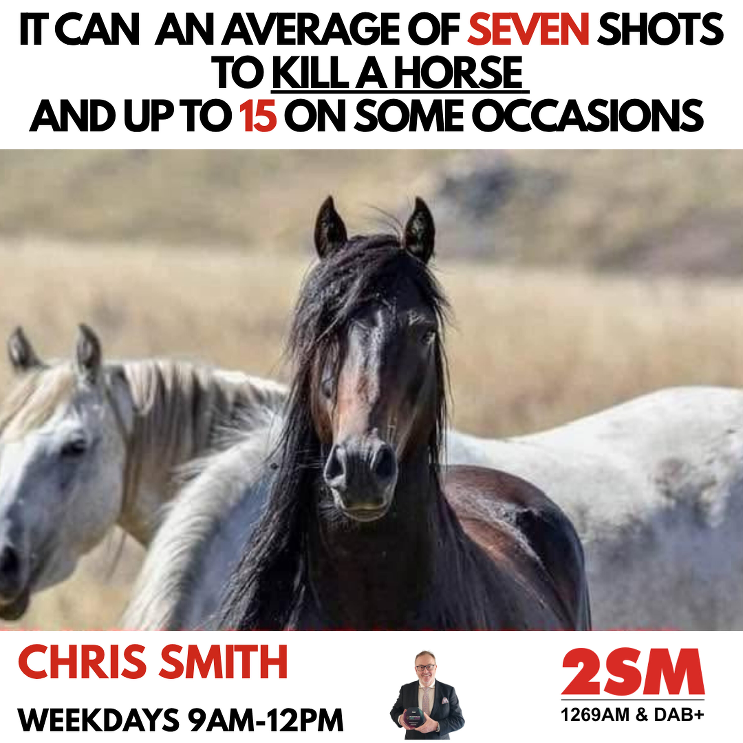 A ballistics expert, Andy Mallen, joins Chris Smith on the Brumby Cull discussion. episode artwork