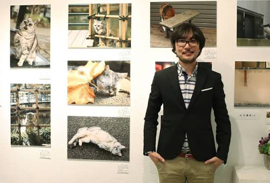 Cat News: He Quit His Job to Photograph Cats Full-Time — And Honestly, We’re Jealous 02 September 2026