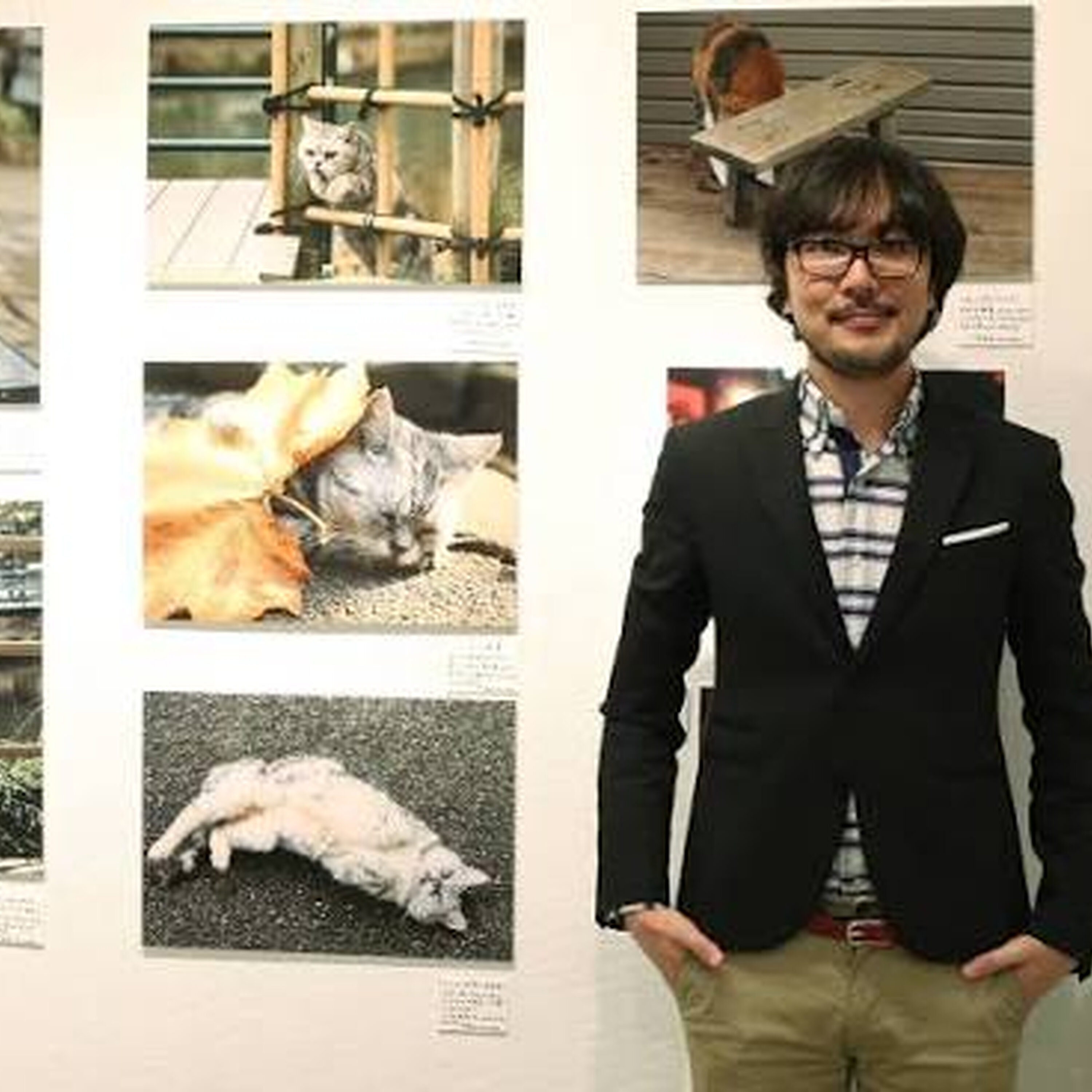 Cat News: He Quit His Job to Photograph Cats Full-Time — And Honestly, We’re Jealous 02 September 2026