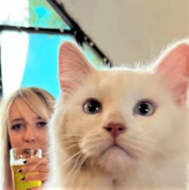 Cat News: She Spent $25,000 to Clone Her Cat 21 August 2026 episode artwork