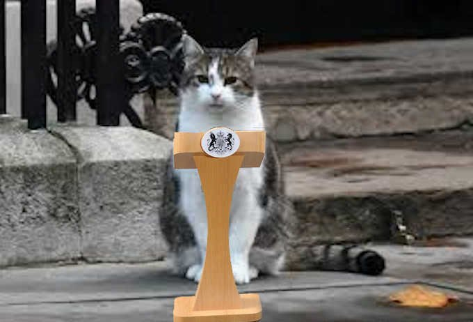 Cat News: Larry, Chief Mouser to the Cabinet Office 16 June 2026 episode artwork