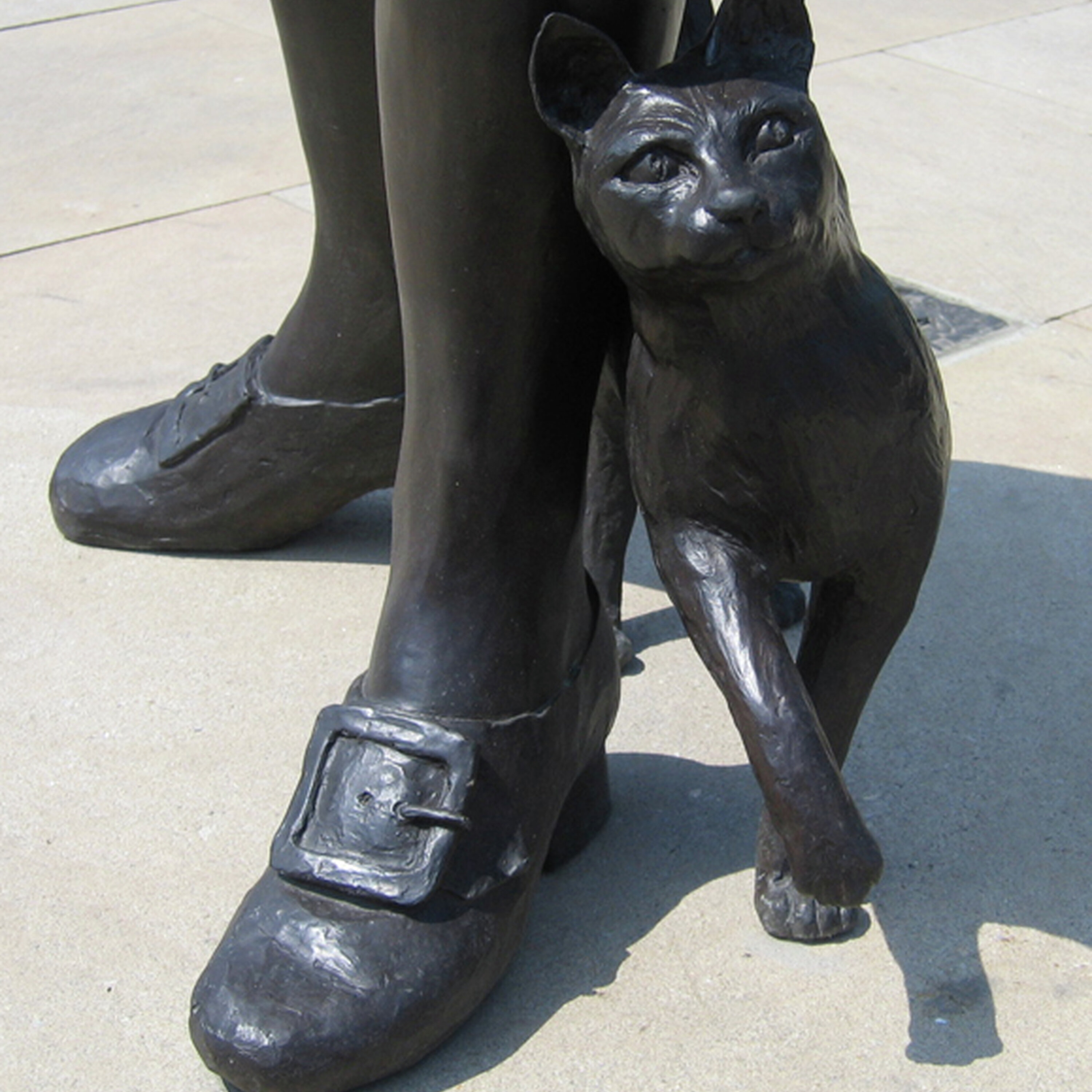 Cat News: Trim, The Cat Who Helped Discover Australia 14 July 2026