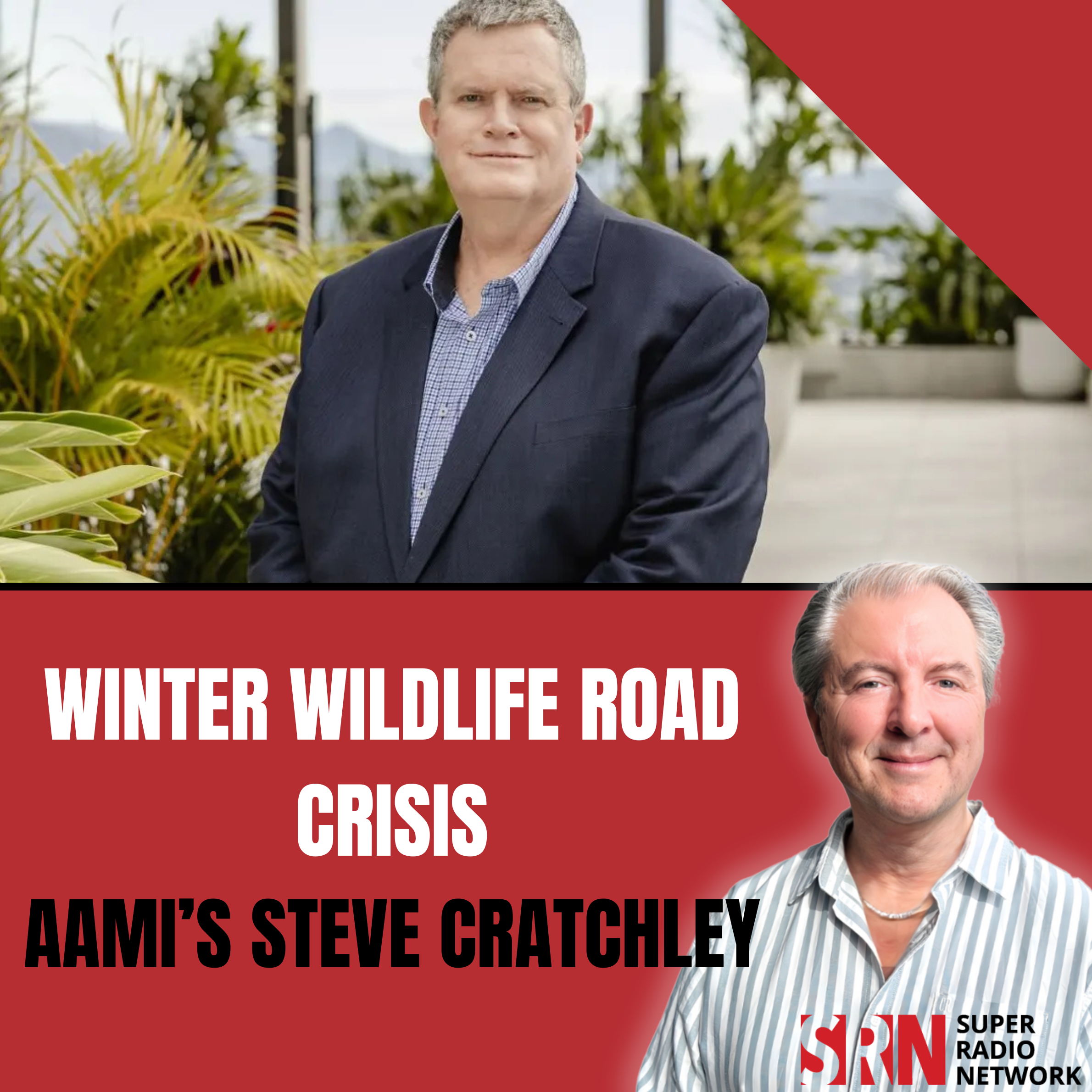 The Winter Wildlife Crisis: Why Your "Instinct" to Swerve is Killing Drivers episode artwork