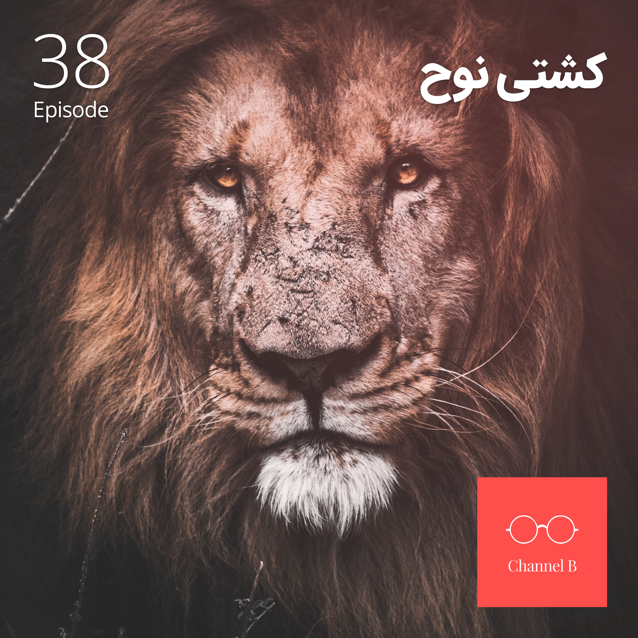 سی و هشت - کشتی نوح