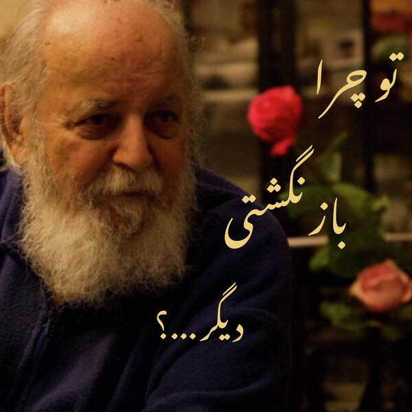 🎶سایه. تو چرا بازنگشتی دیگر؟!
