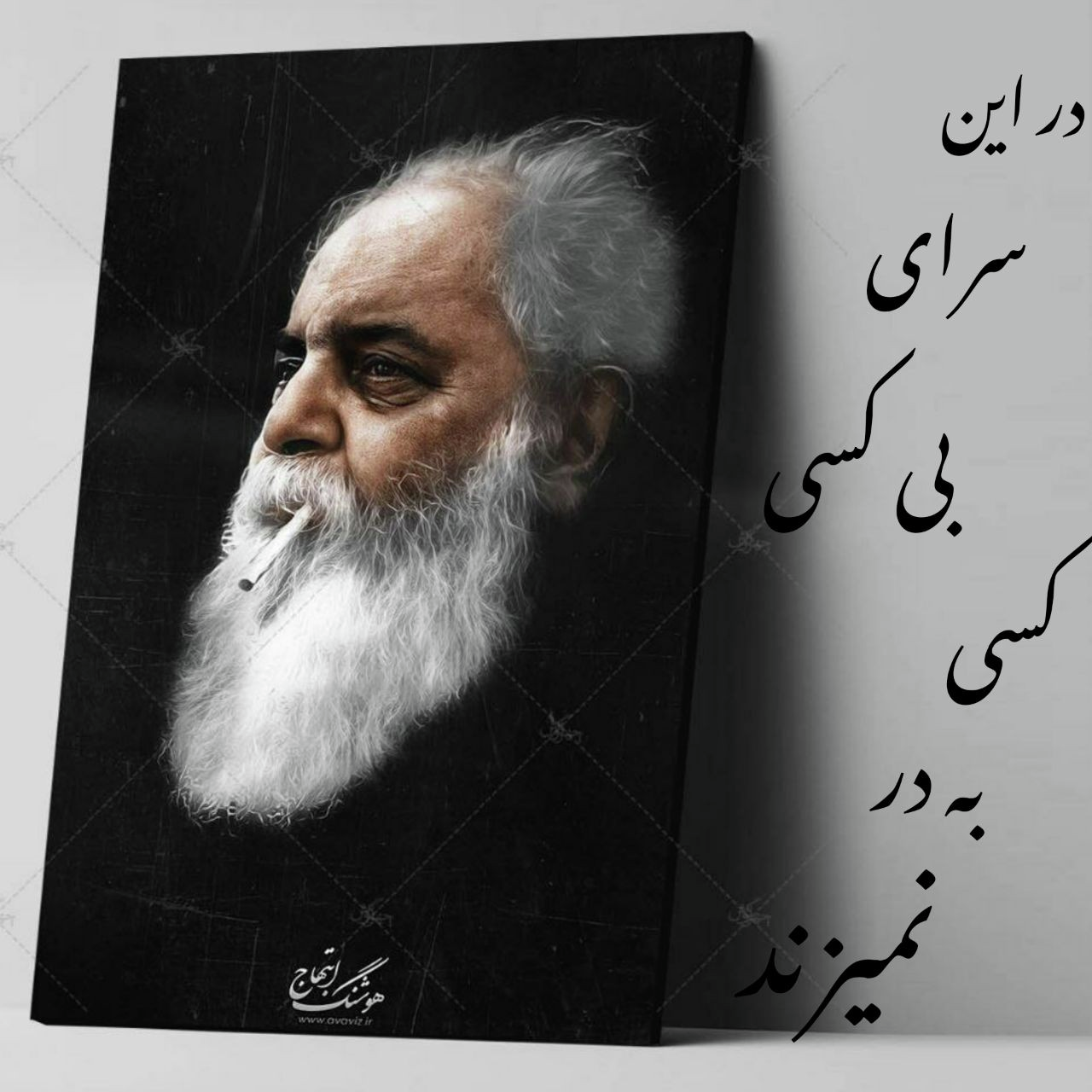 🎶سایه. در این سرای بی کسی کسی به در نمی‌زند!