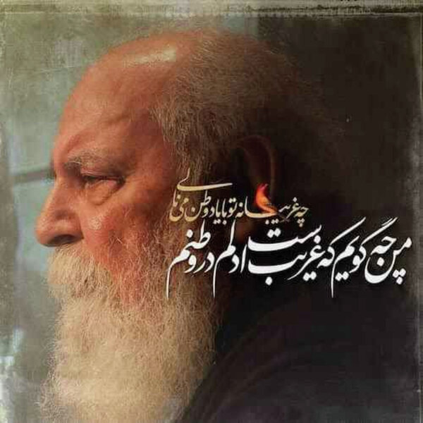 من چه گویم که غریب است دلم در وطنم