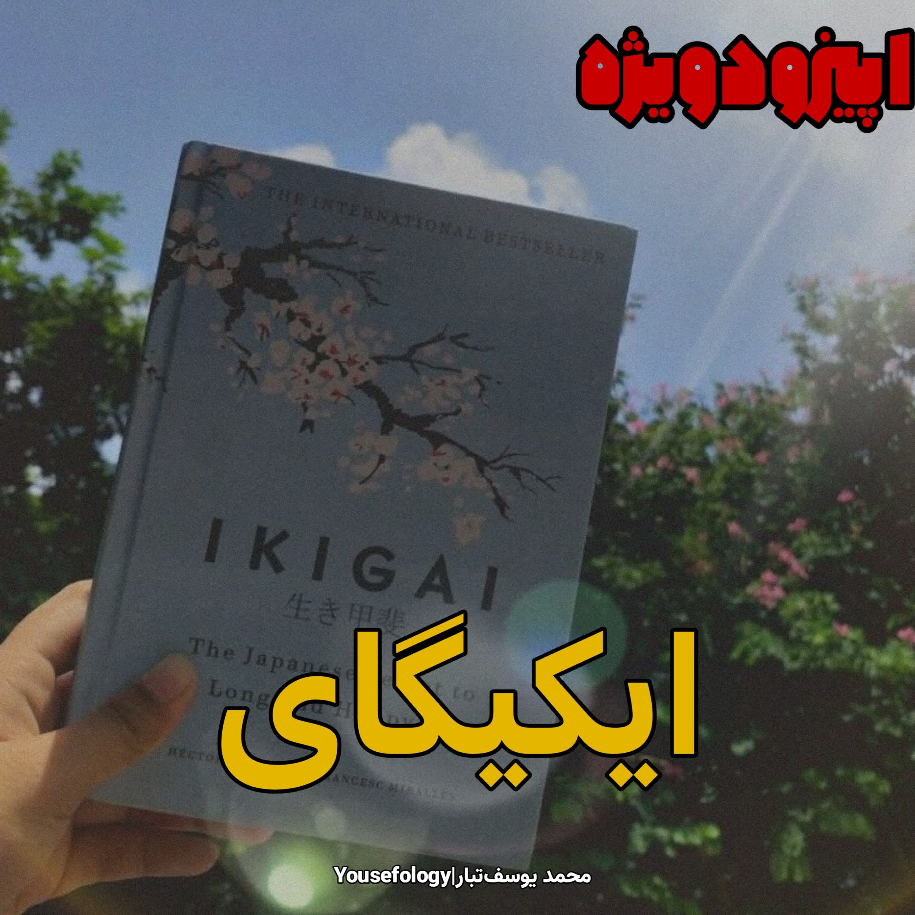 اپیزود ویژه|خلاصه و معرفی کتاب ایکیگای