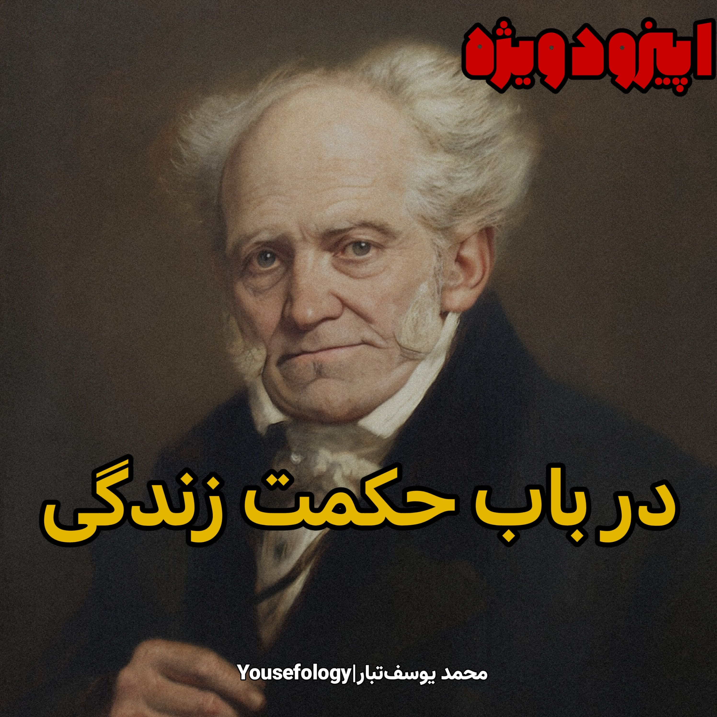 اپیزود ویژه|خلاصه و معرفی کتاب در باب حکمت زندگی - آرتور شوپنهاور
