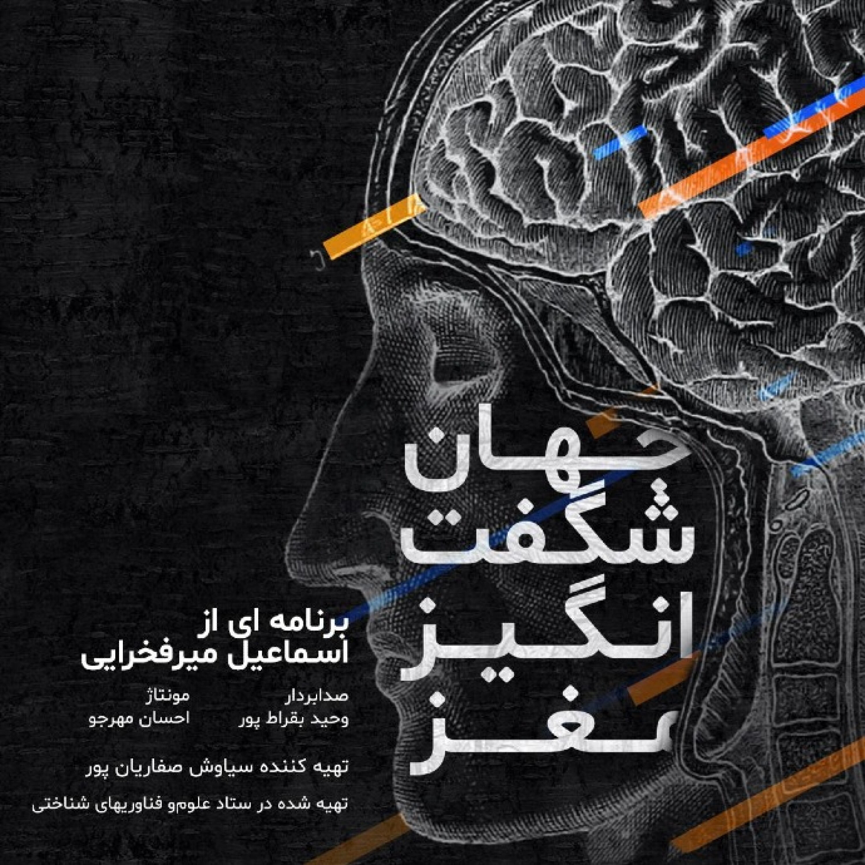 دنیای پر رمز و راز خواب