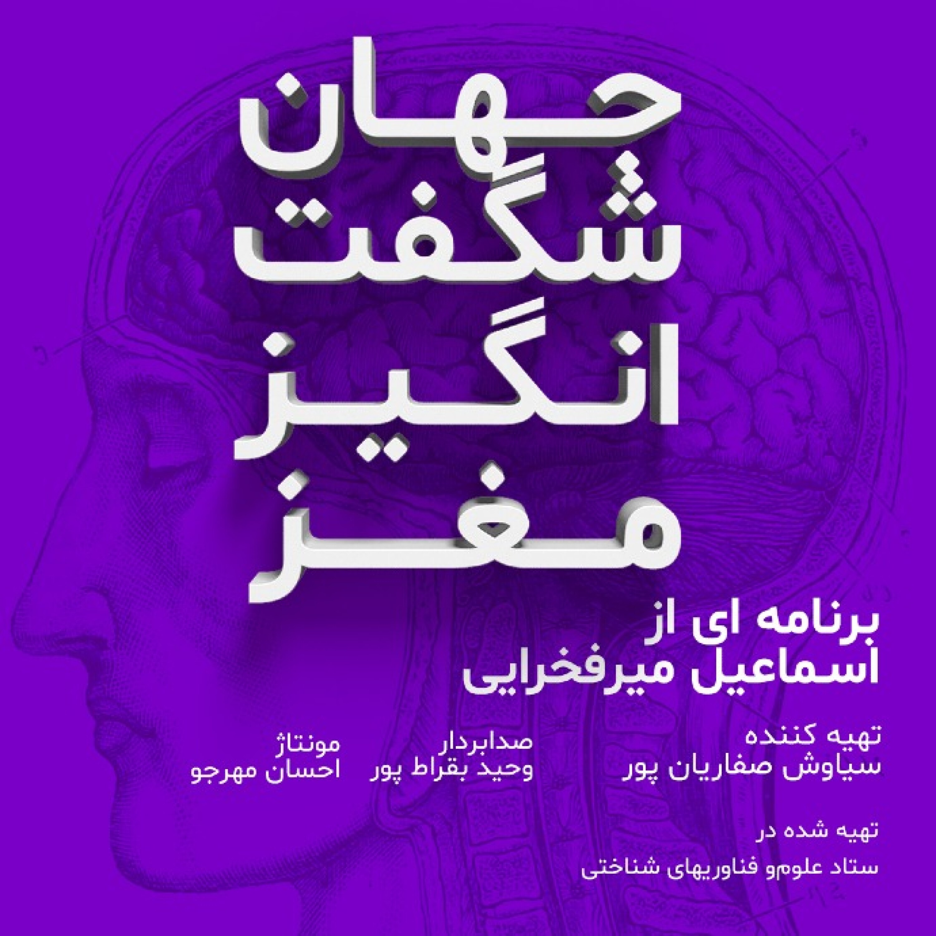 نقش مغز در خوابیدن و خواب دیدن