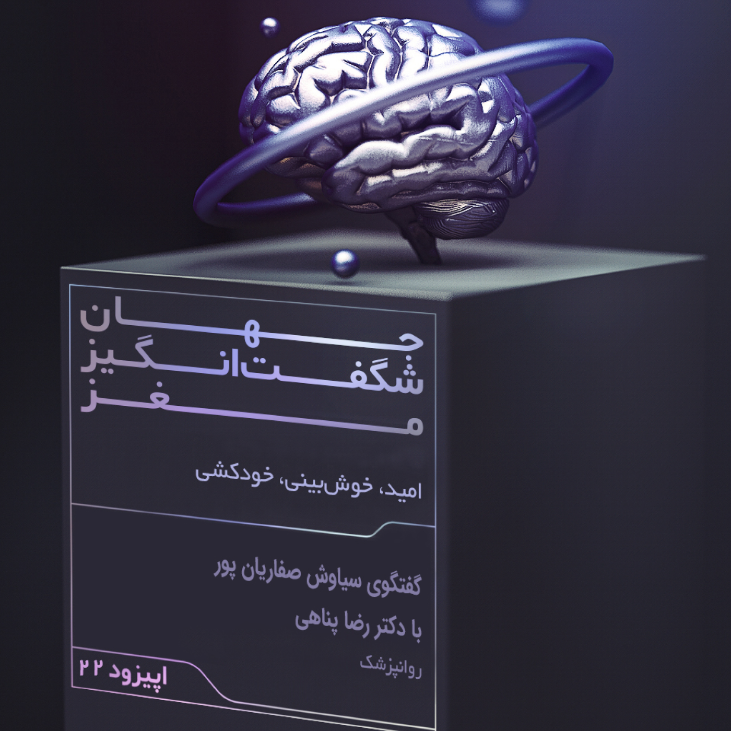 امید، خوشبینی، خودکشی، جهان شگفت انگیز مغز، قسمت۲۲