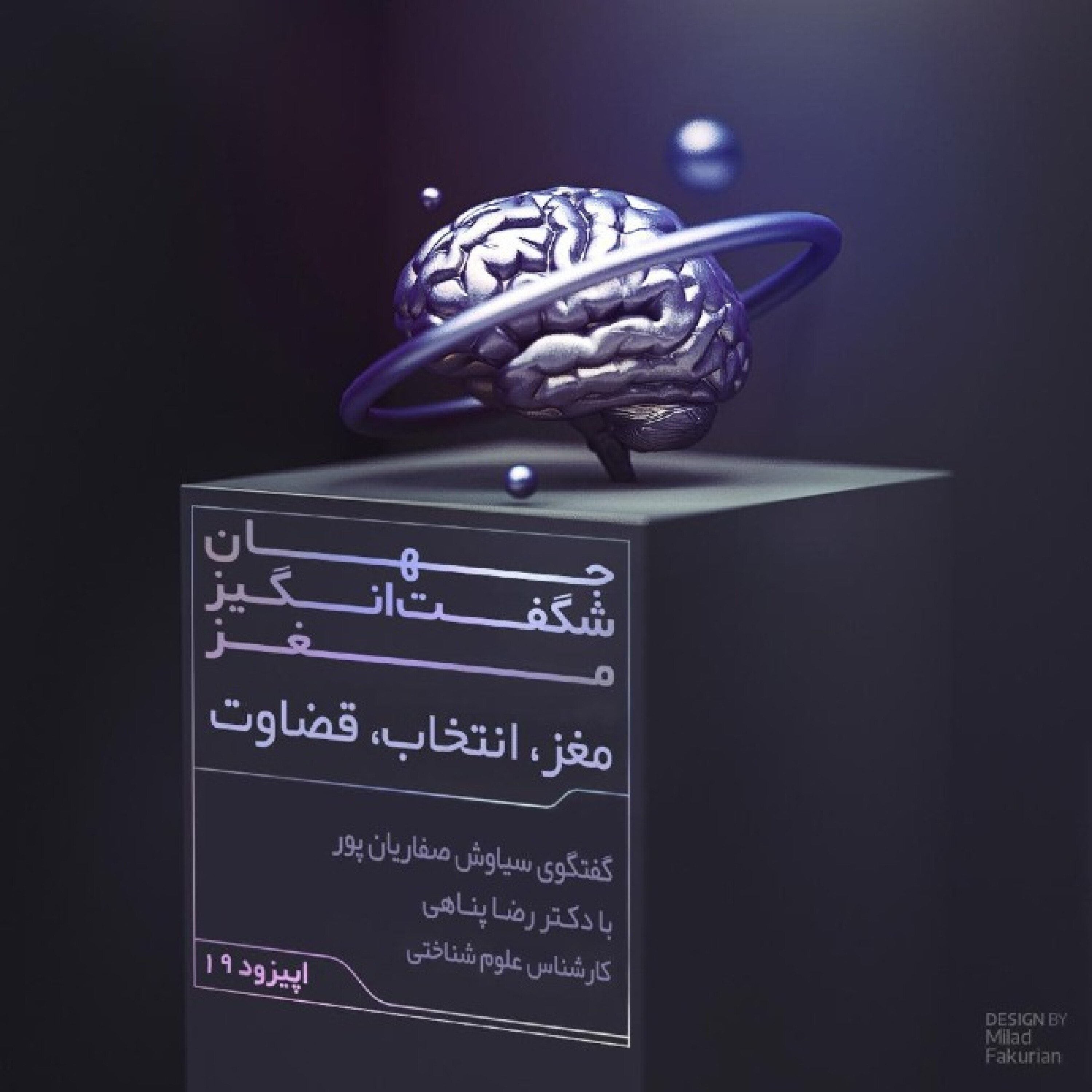 مغز، انتخاب، قضاوت