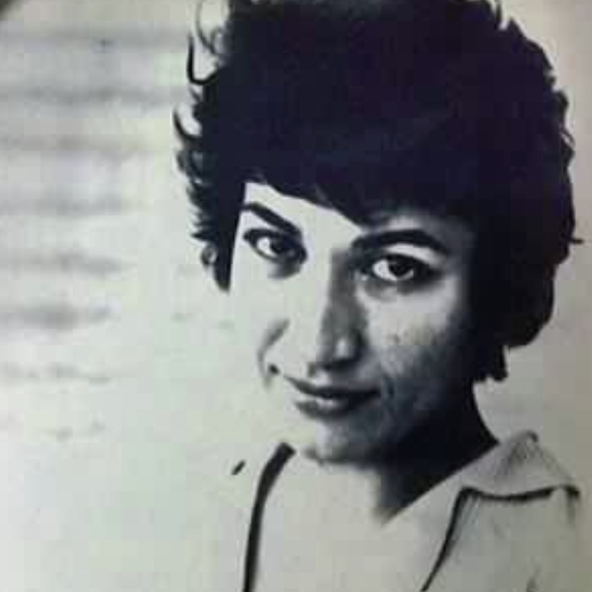 صدایی در شب