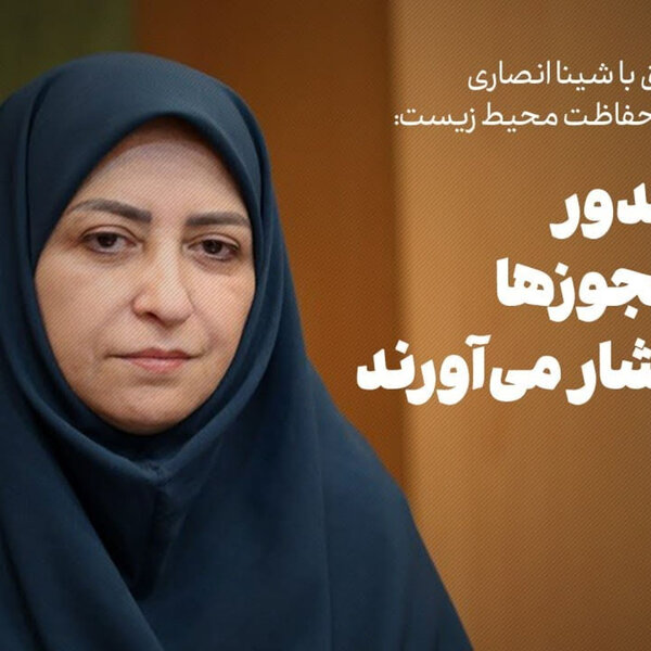 ئیس سازمان محیط| برای صدور برخی مجوزها به ما فشار میآورند