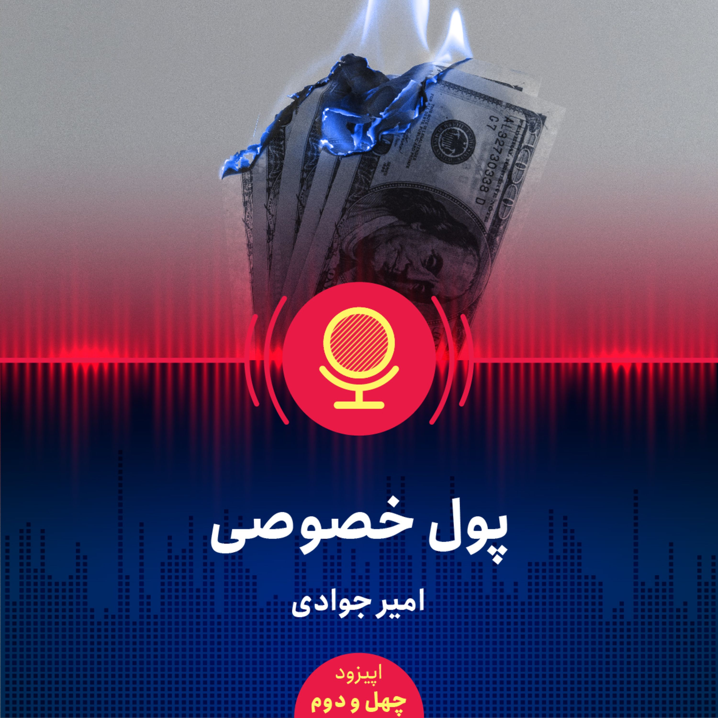 ۴۲: پول خصوصی چیست و گسترش آن منجر به چه اصلاحاتی در اقتصاد می‌شود؟