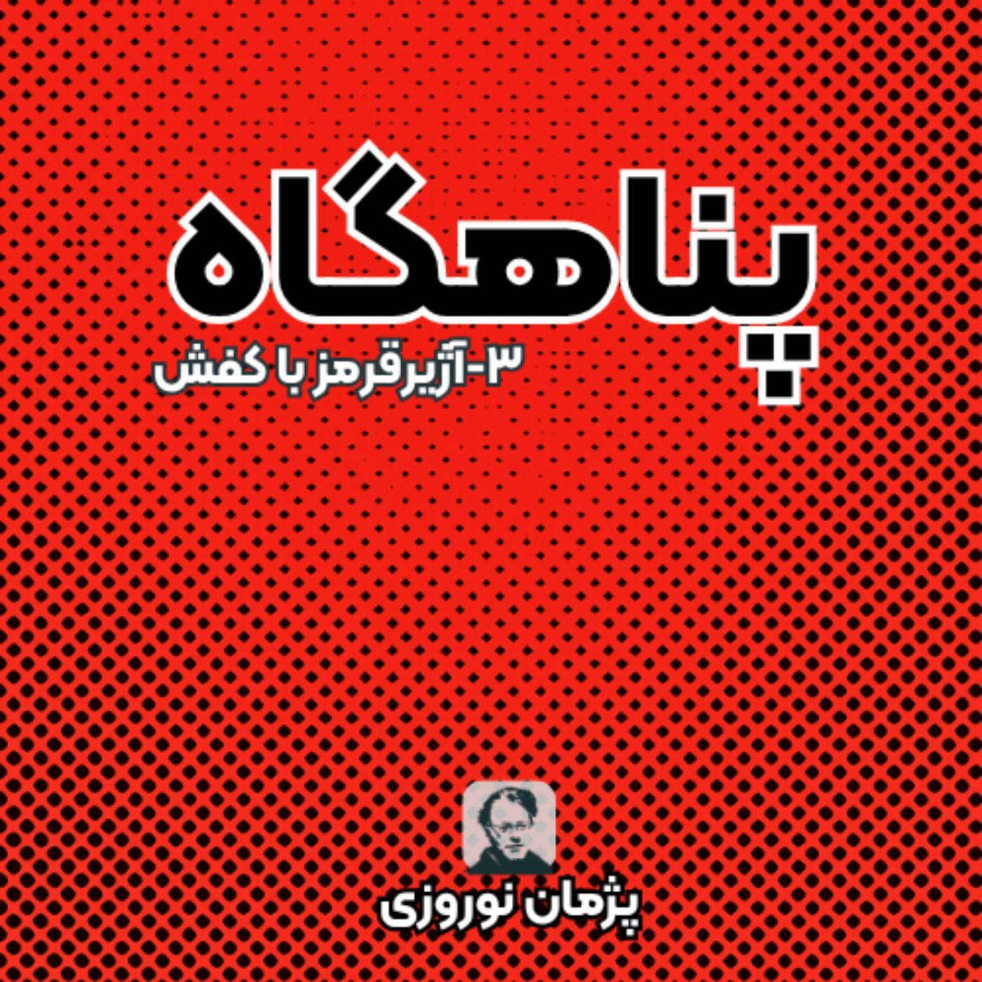 آژیرقرمر با کفش