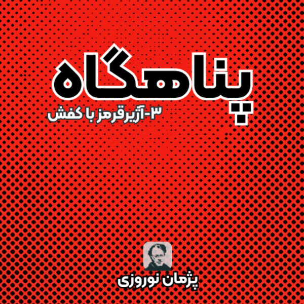 آژیرقرمر با کفش