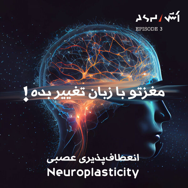 E3 | dr tara swart با کمک مغز روابطمونو درست کنیم و عضلاتمونو بزرگ | حل مشکلات فکری