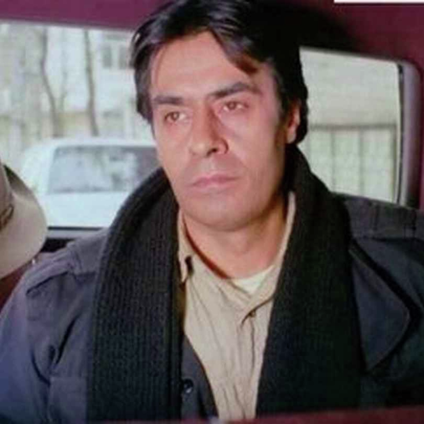 حکیمی پسران را پند همی داد