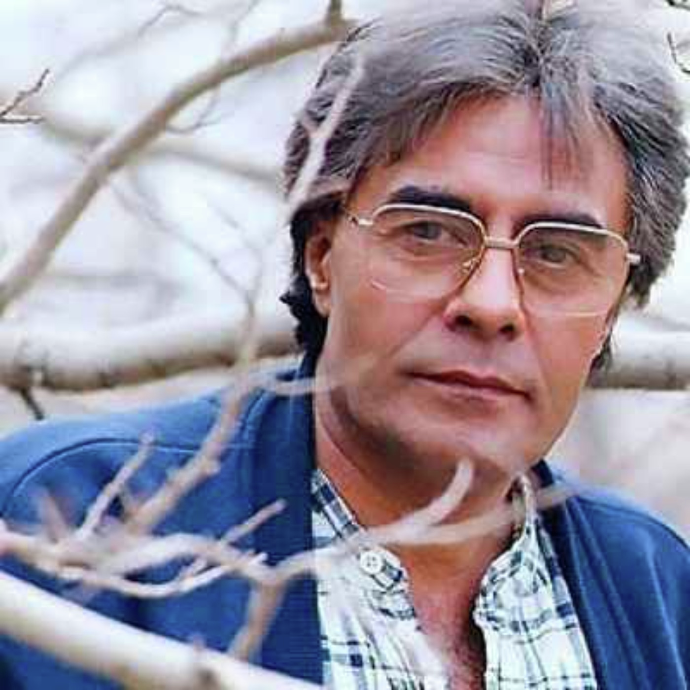 در سمت پرنده