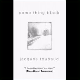 On Jacques Roubaud: Some Thing Black—Dalkey Archive 10