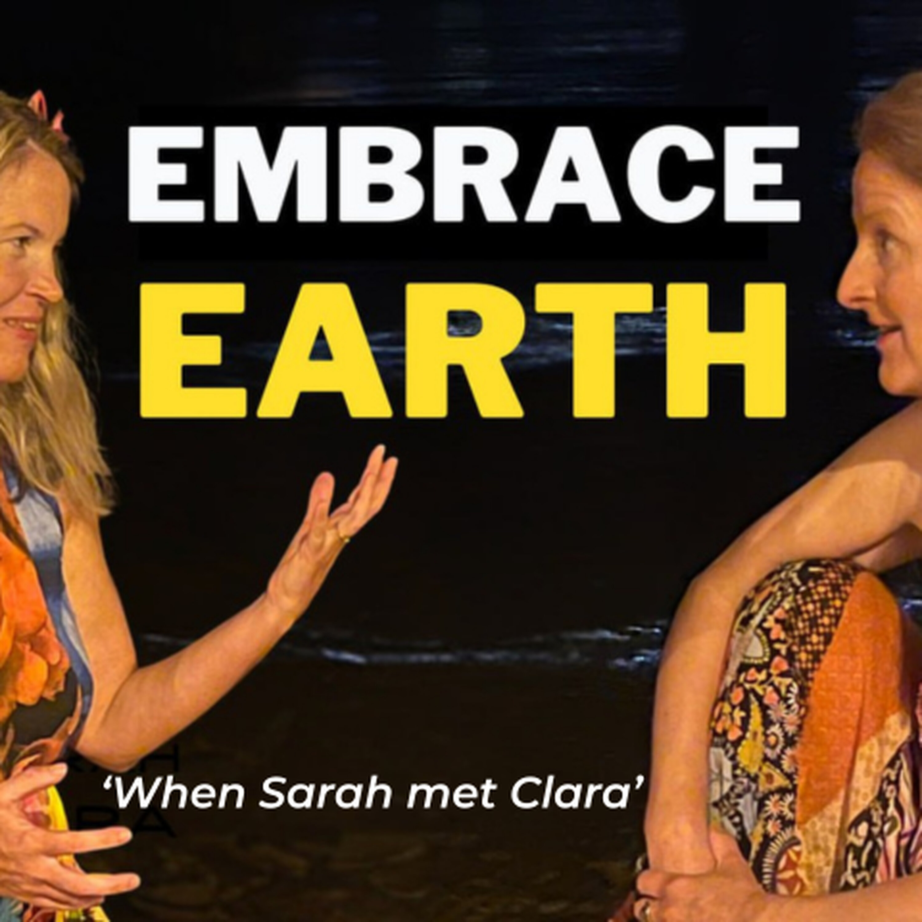 Embracing the Earth Element: Nourishment and Balance : WSMC episode artwork