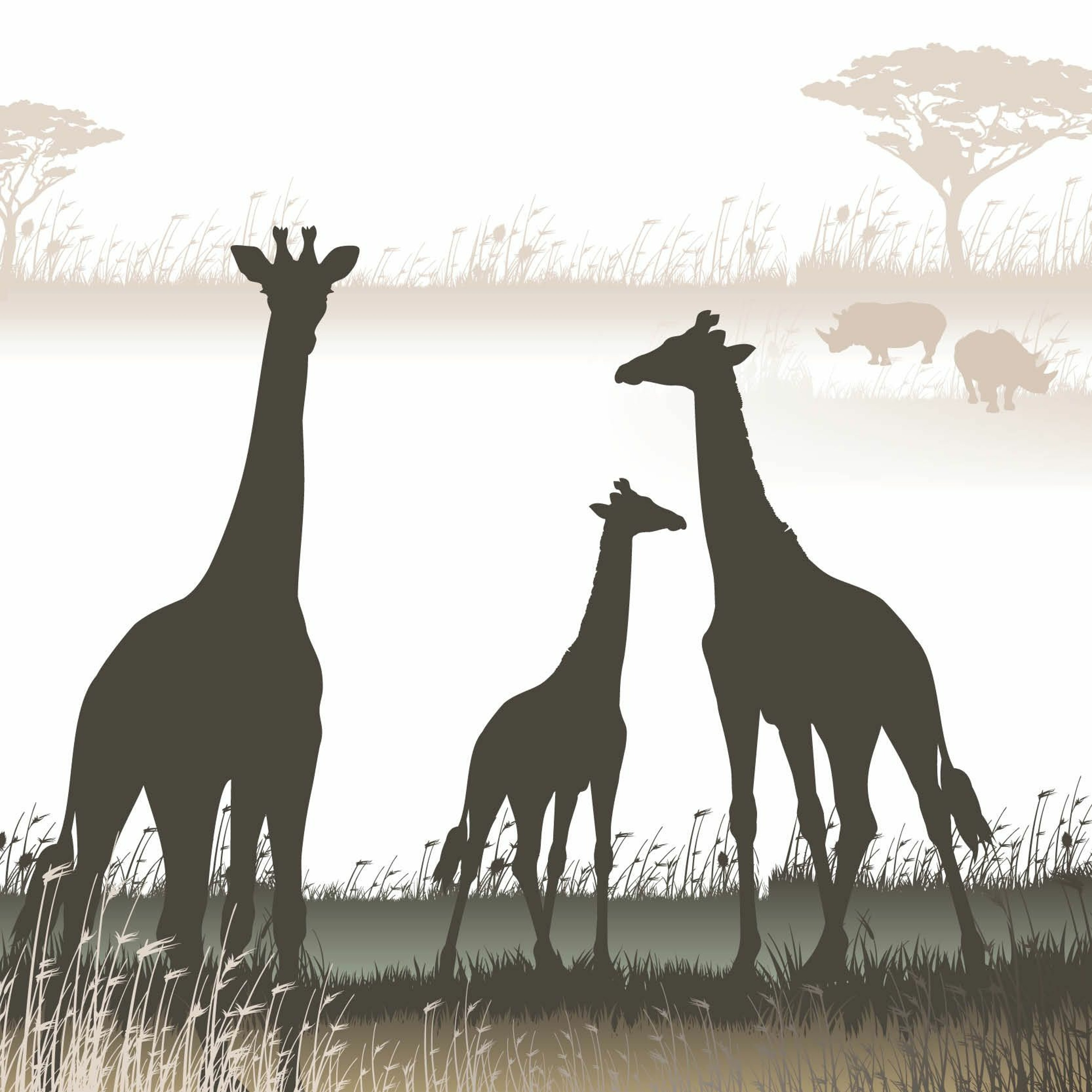 Out in Africa