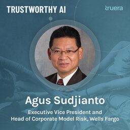 Model Risk Management and AI with Agus Sudjianto, Executive Vice President and Head of Corporate Model Risk at Wells Fargo