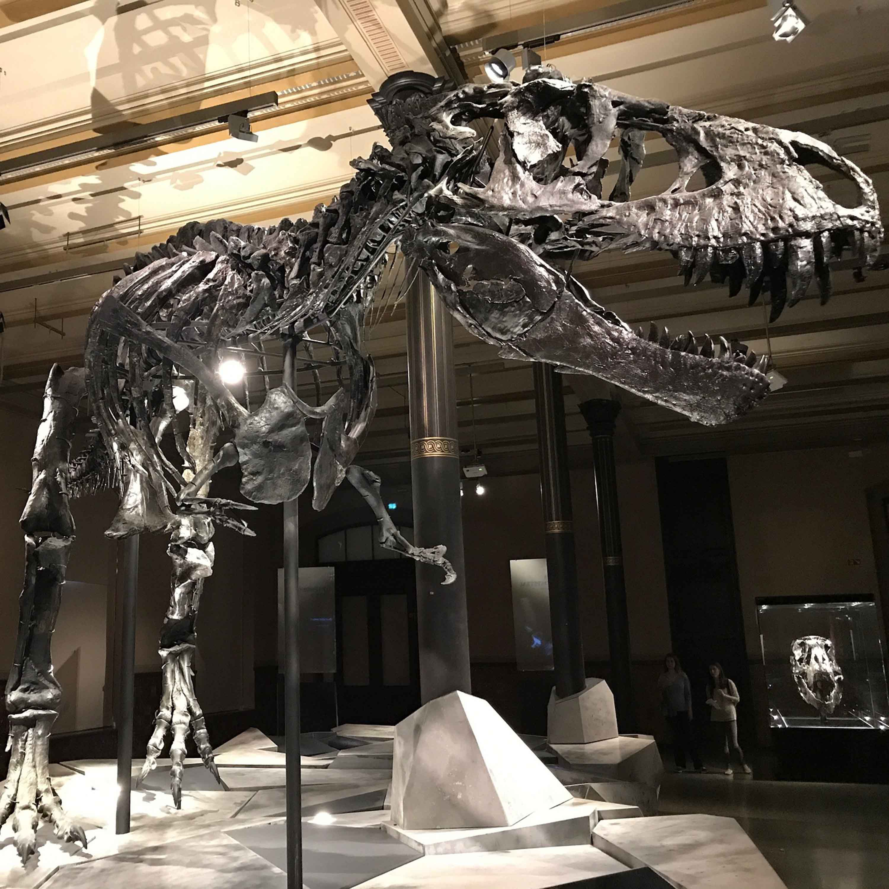 A Day at the Museum