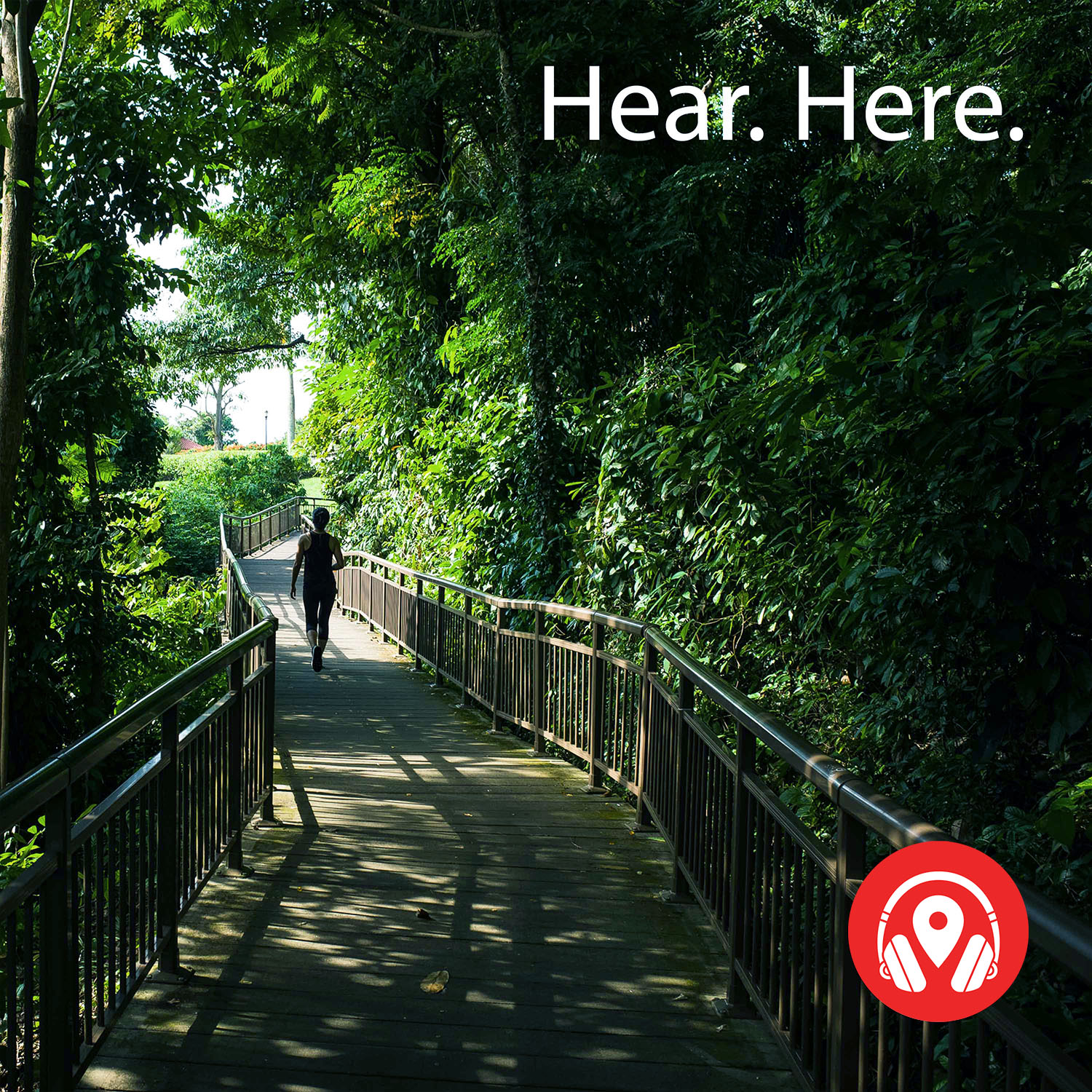 099448 Chimes and Chirps