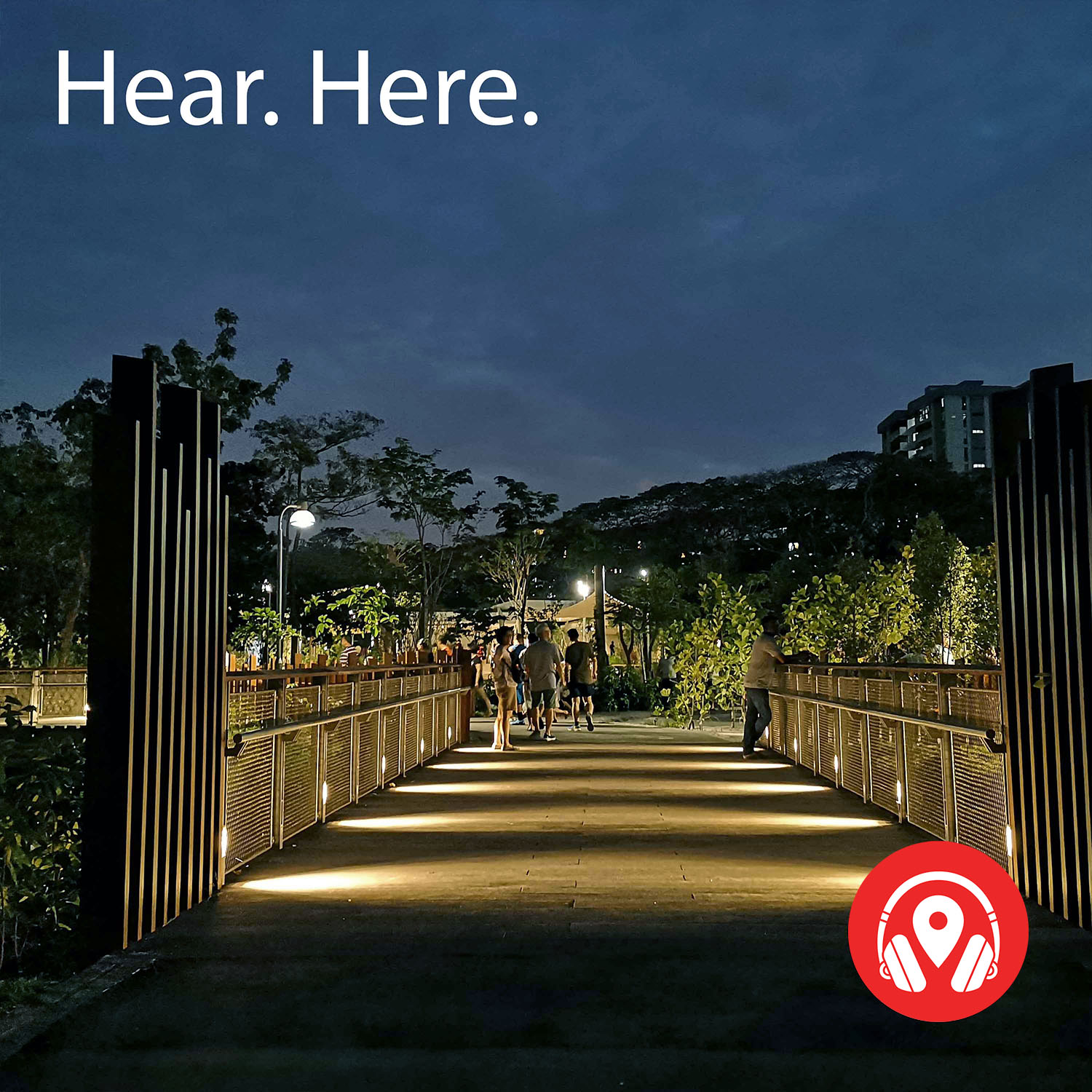 618641 Jurong Lake Garden Night - BB Delta