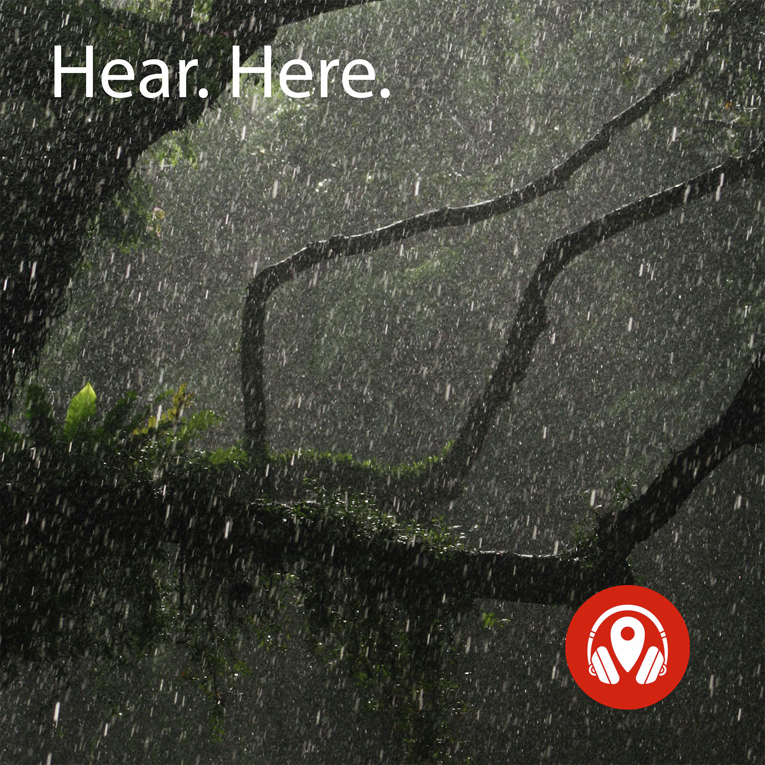 Rain, Rain, Go Away!!!