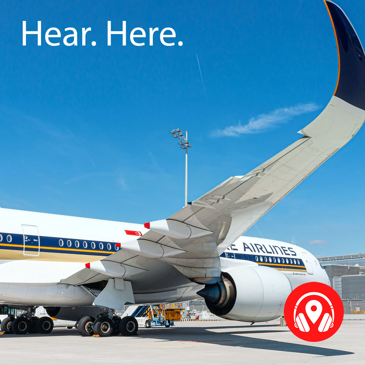 498991 On Silver Wings