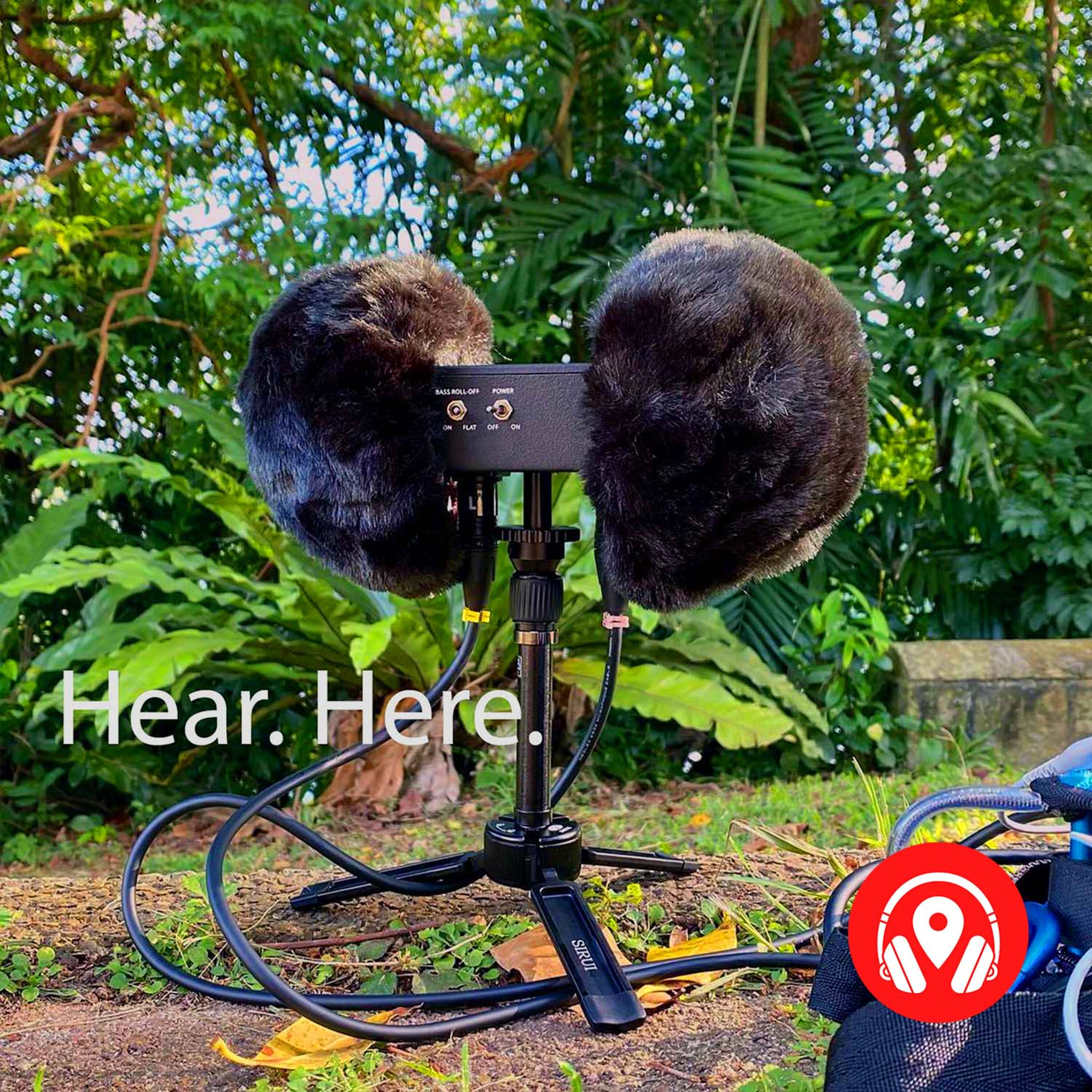 238859 Singapore in Mono Stereo Binaural 238859 Singapore in Mono Stereo Binaural