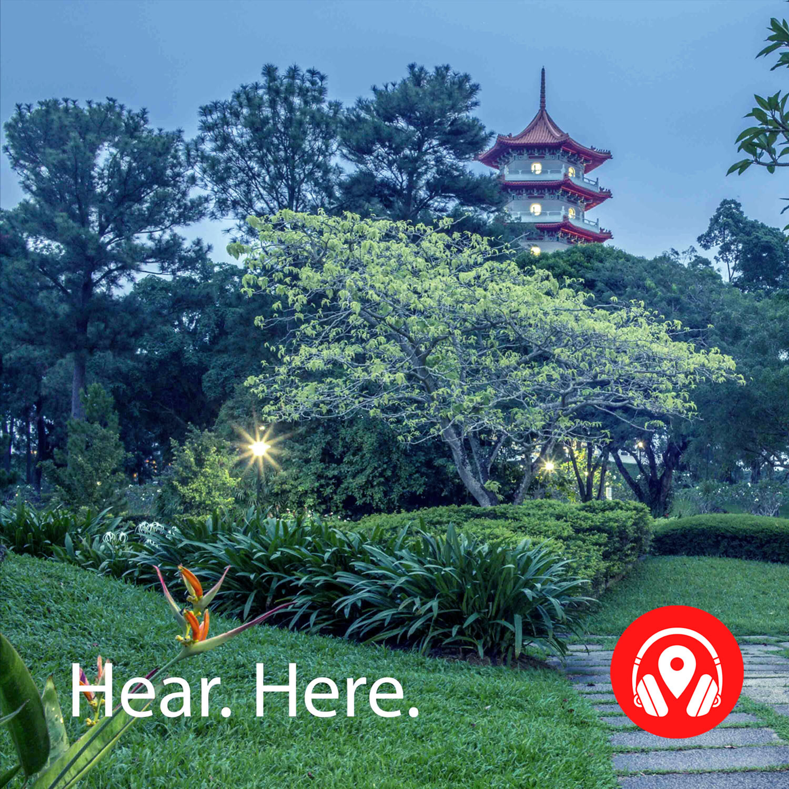 618641 Jurong Lake Garden Night - BB Theta 618641 Jurong Lake Garden Night - BB Theta