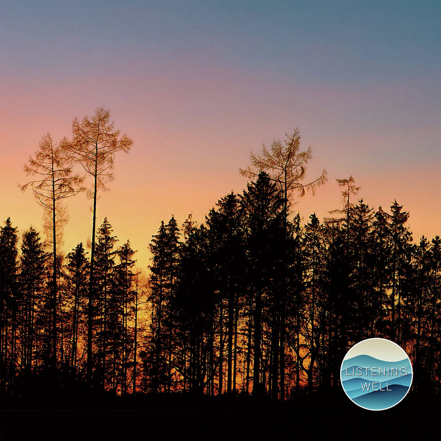 Night Cicadas: 30 Minutes of Soothing Insect Chorus for Sleep & Stillness