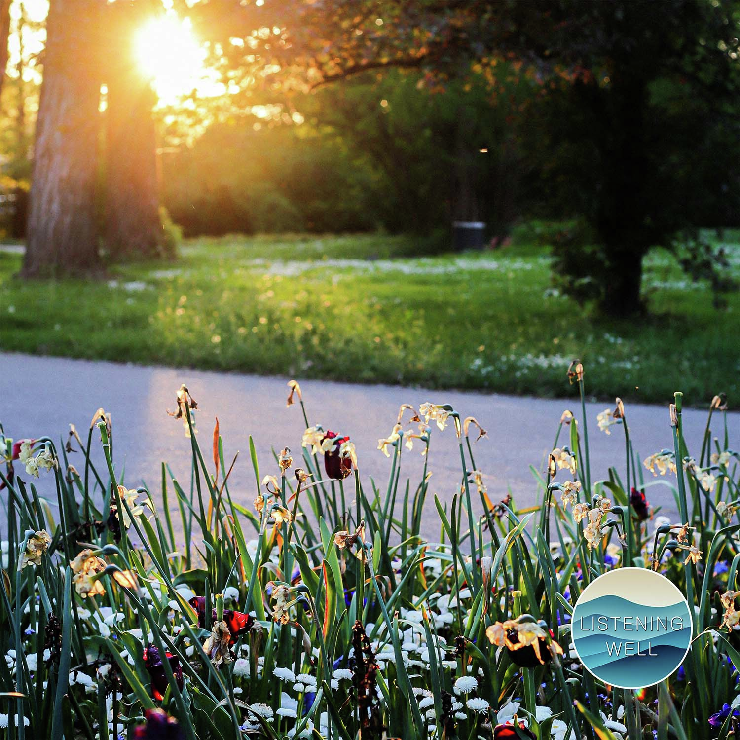 Morning Garden: 30 Minutes of Nature’s Soothing Chill