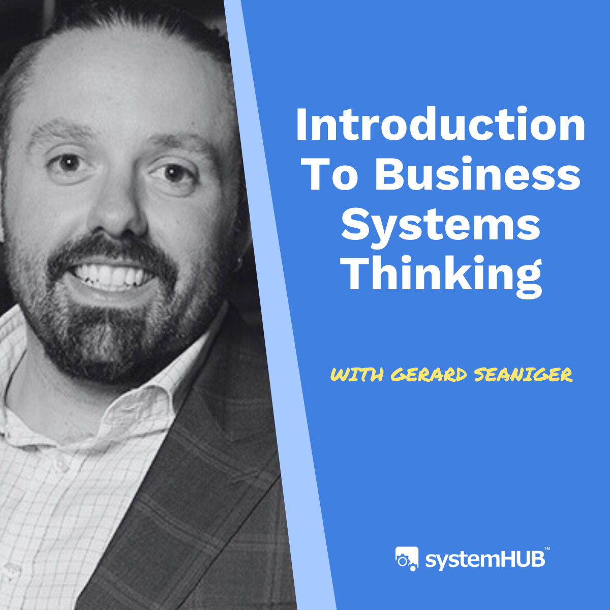 S3:E10 Introduction To Business Systems Thinking with Gerard Seaniger
