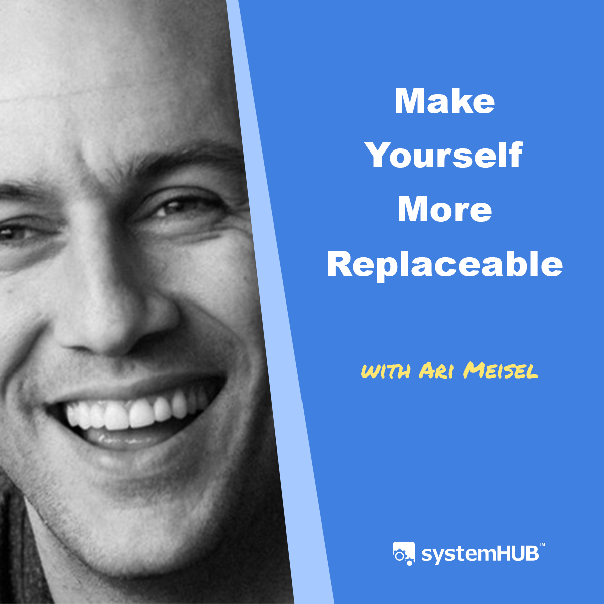 The System To Replace Yourself So Your Business Can Grow with Ari Meisel