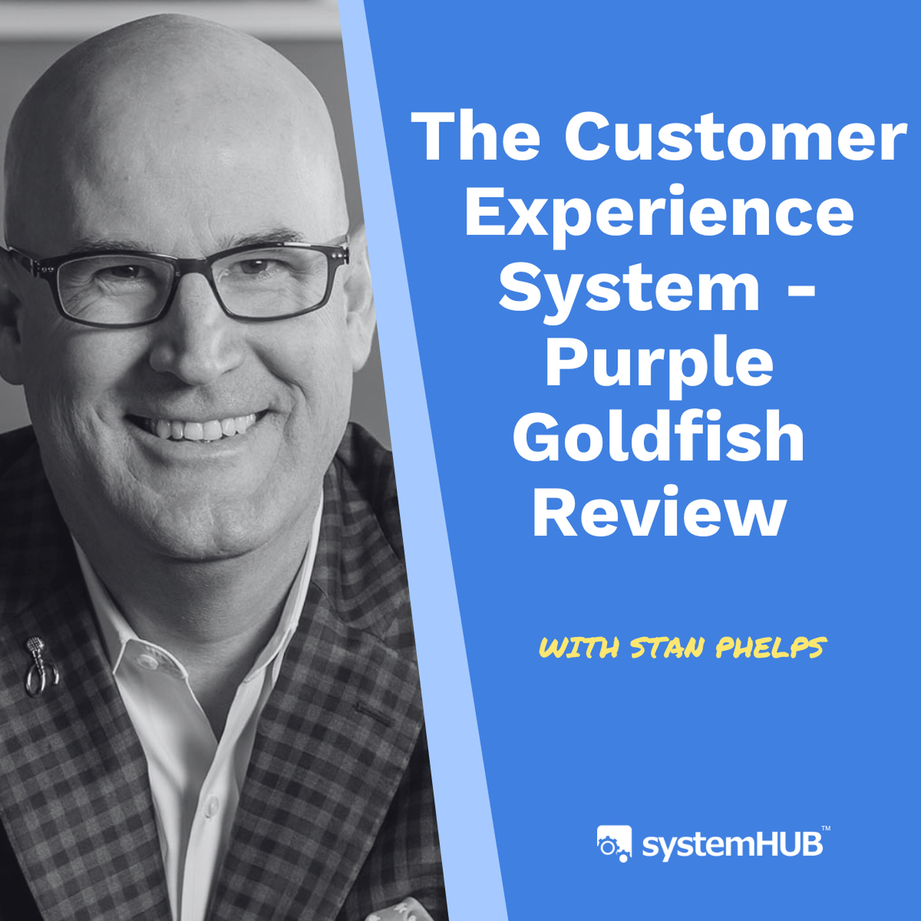 S4:E2 The Customer Experience System - Purple Goldfish Review with Stan Phelps episode artwork