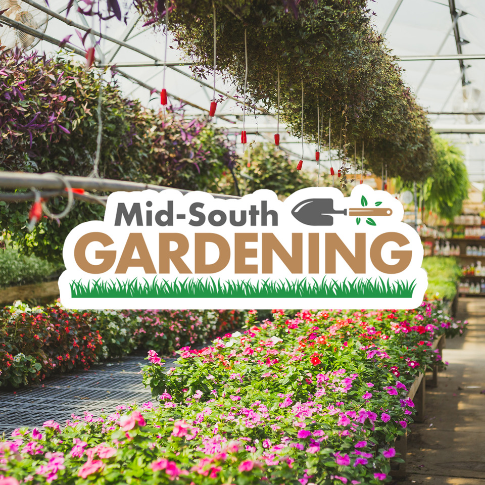 Raising a Garden Can be a Tough Job, Especially in the Changing Temperatures of Memphis! Learn the Tips and Tricks From the Gardening Team Today!